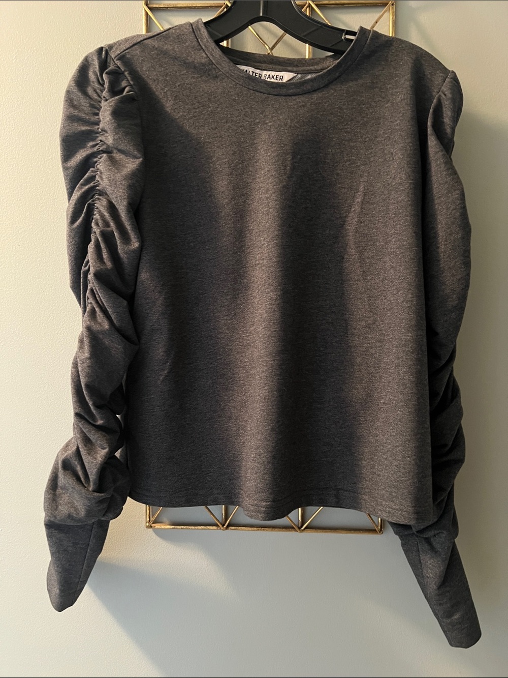 Walter Baker Charcoal Ruched Sleeve Top